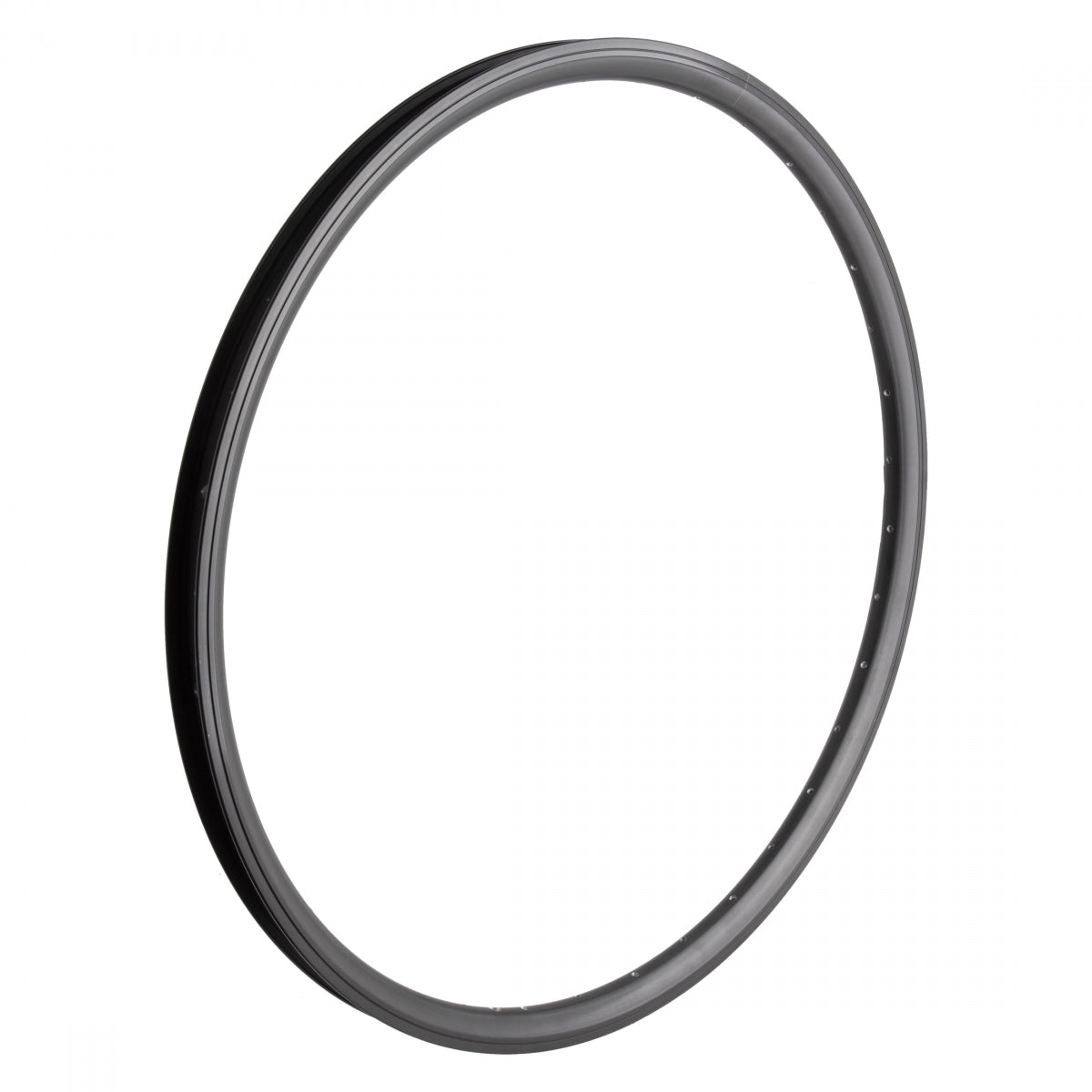 Rim Wm 27.5 584X25 J25Sg 36 Bk/Bk-Msw Sv