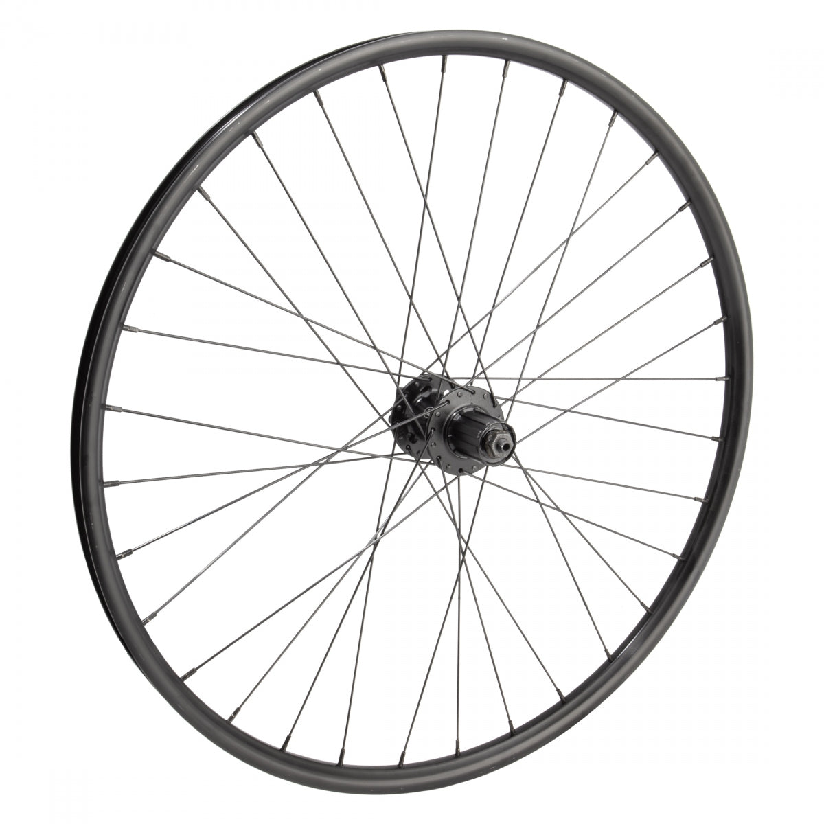 Whl Rr 26X1.5 559X19 Wtb Sx19 Bk Disc 32 Wm Mt2000 8-10Scas 6B Qr Bk 135Mm Ss2.0Bk Pv