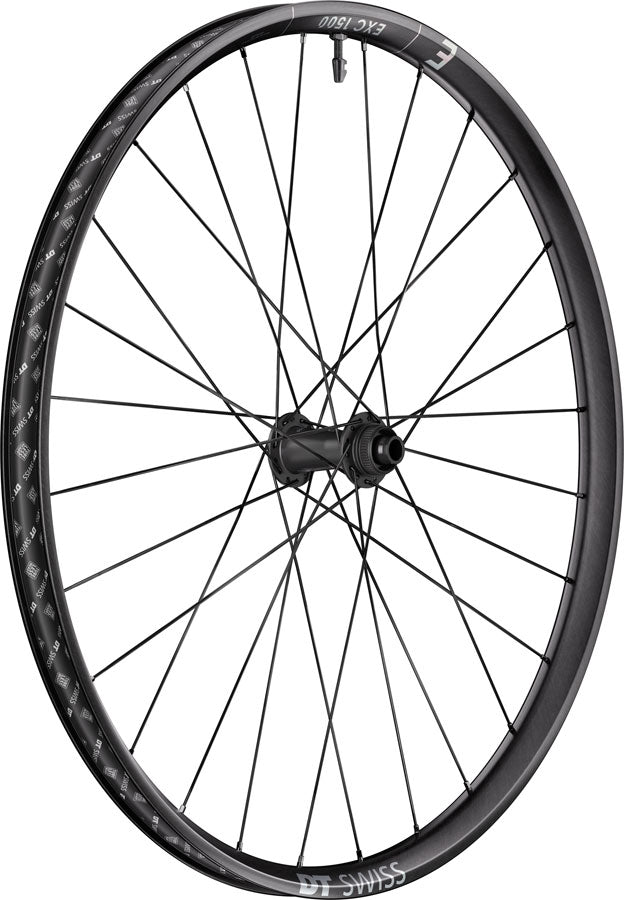 DT Swiss EXC 1500 Classic 30 Front Wheel - 29", 15 x 110mm, Center-Lock, Black