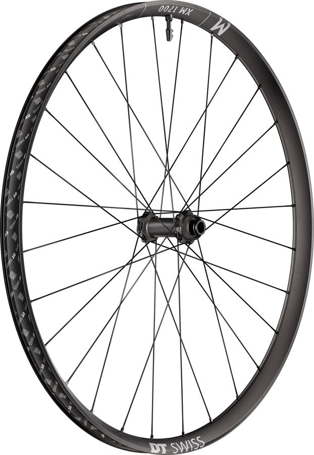 DT Swiss XM 1700 Spline 30 Front Wheel - 29", 15 x 110mm, Center-Lock, Black