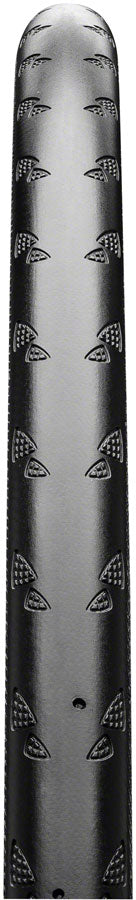 Continental Gatorskin Tire - 700 x 25, Clincher, Folding, Black/Transparent, PolyX Breaker