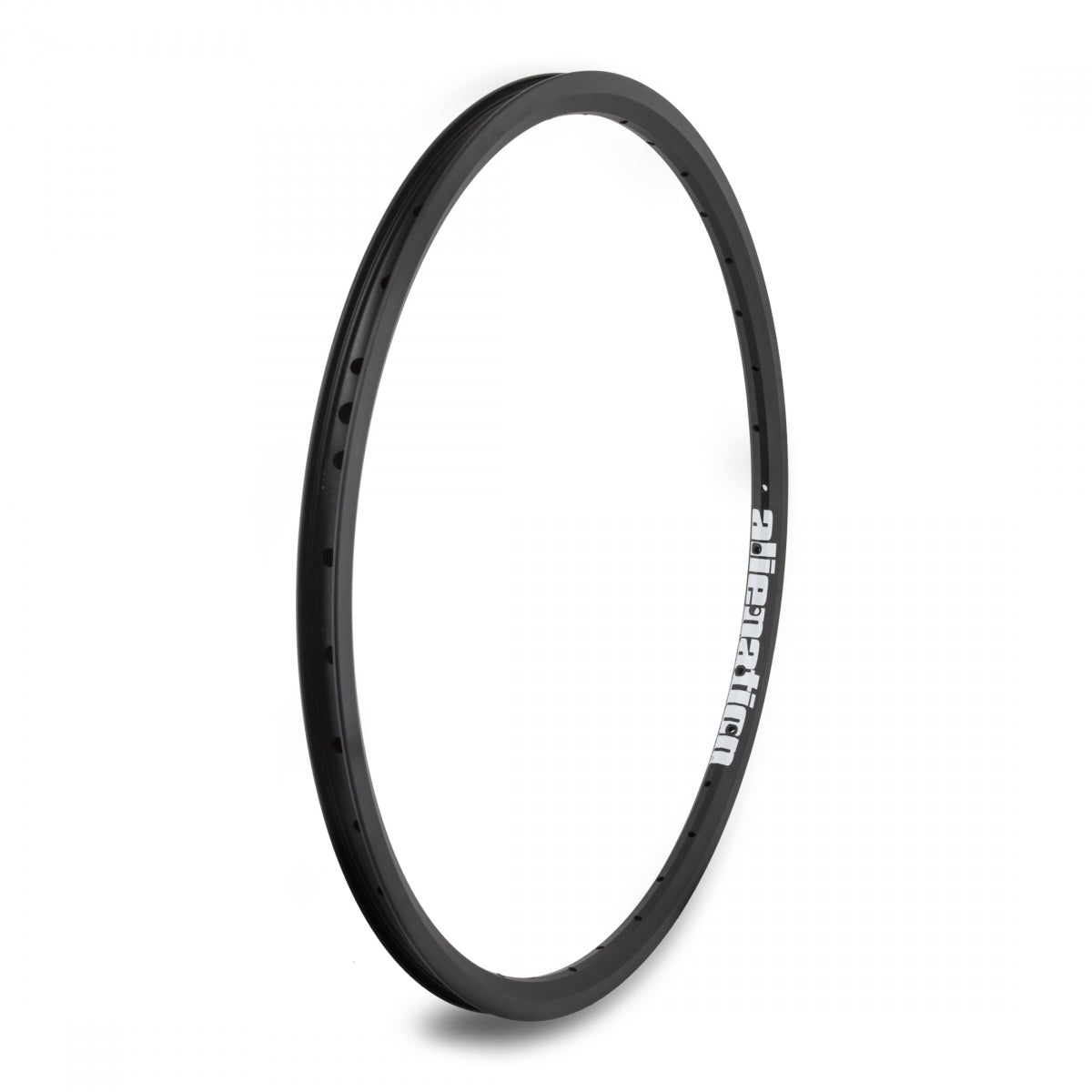 Alienation Ankle Biter 20 in Bicycle Rim Black 36H Rim Brake