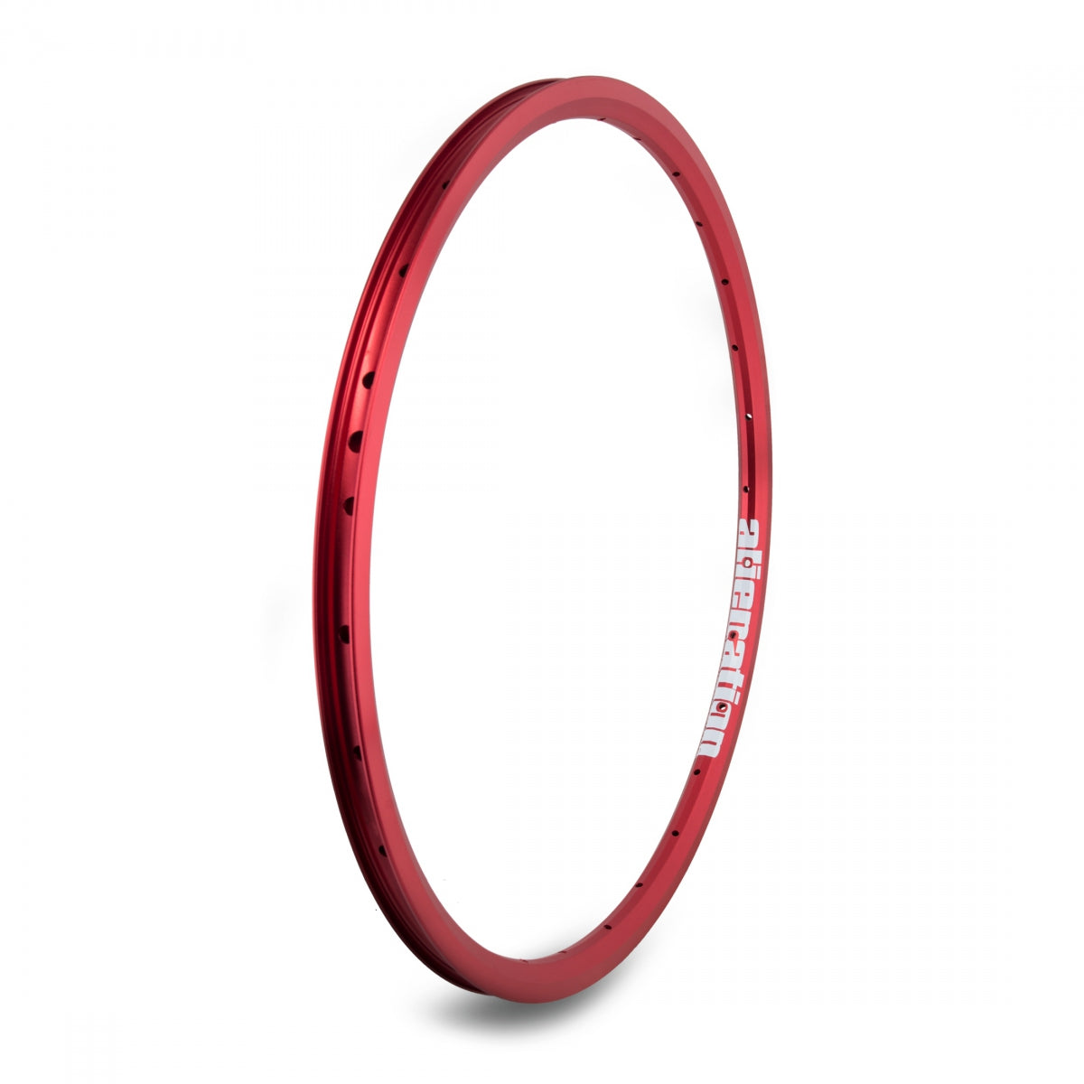 Alienation Ankle Biter 20 in Bicycle Rim Rim Brake