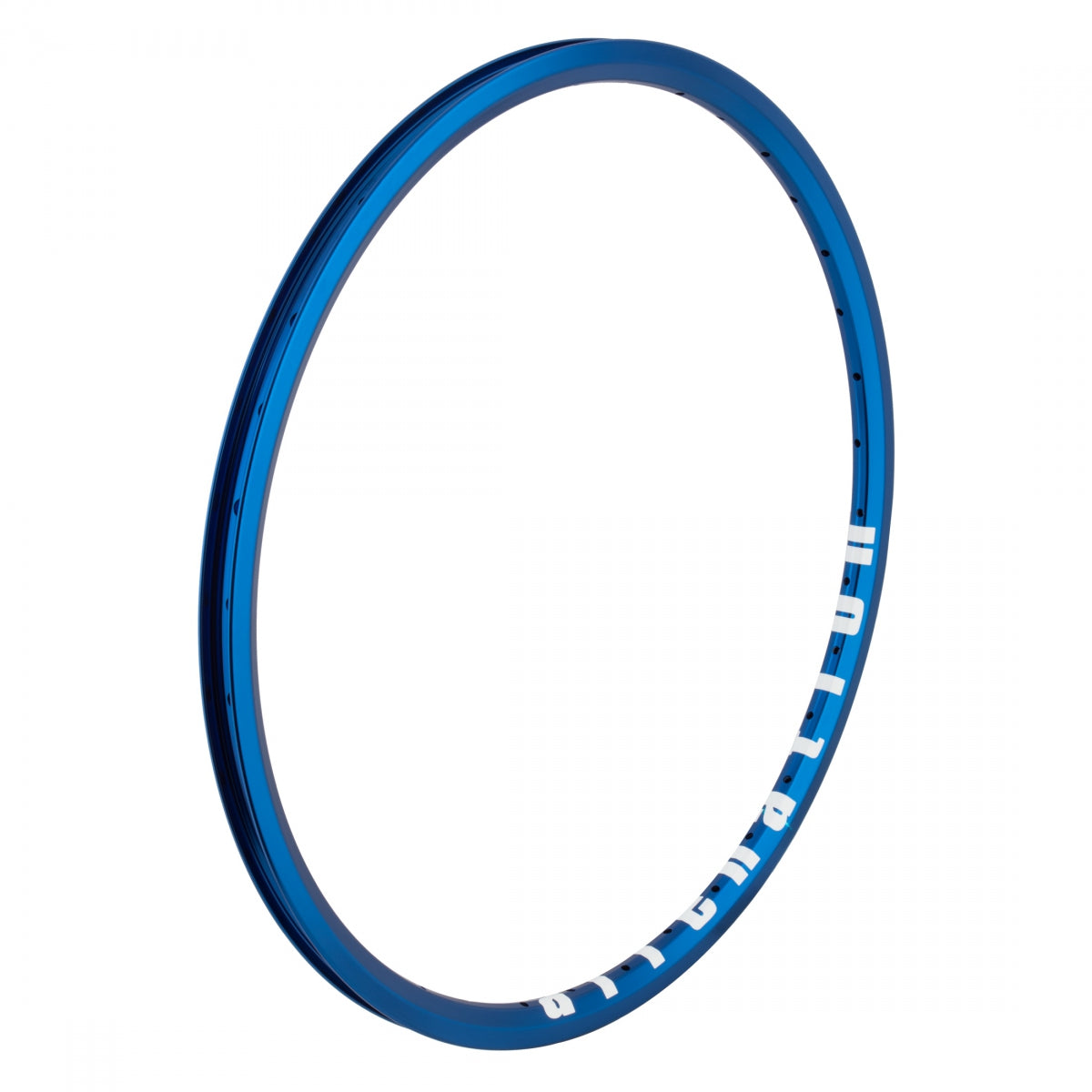 Alienation Ankle Biter 20 in Bicycle Rim 36H Rim Brake