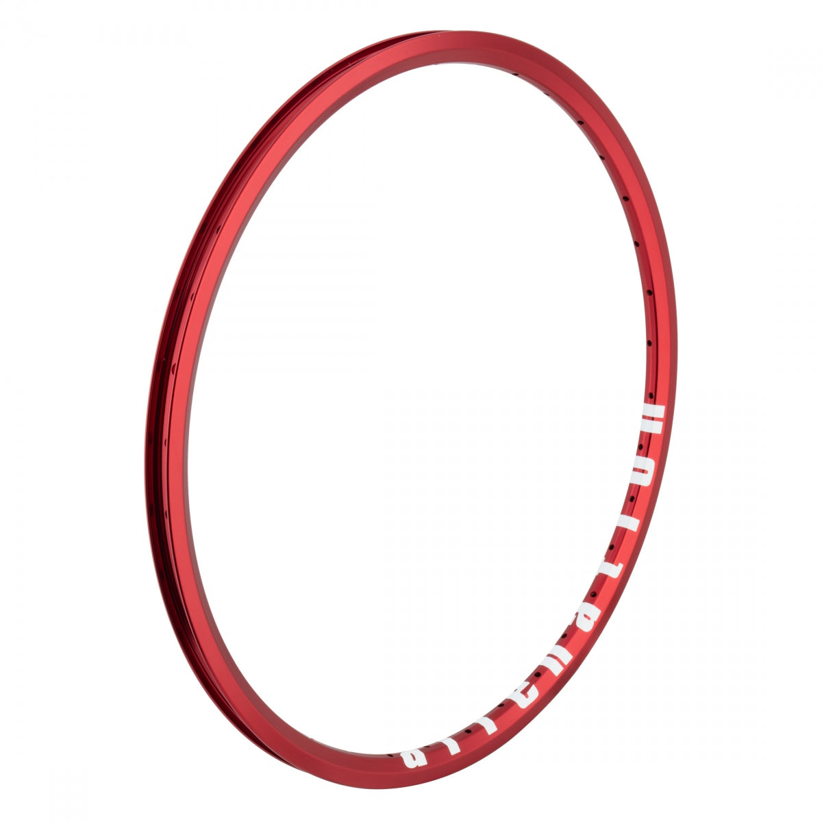 Alienation Ankle Biter 20 in Bicycle Rim 36H Rim Brake