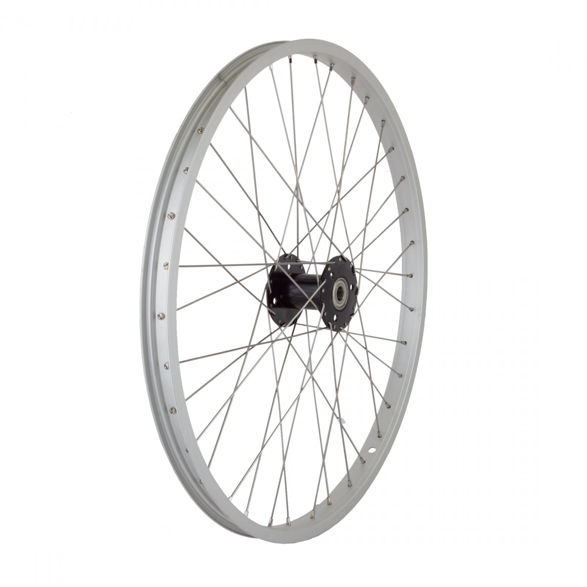 WheelMaster 24" Weinmann AS7X Alloy Trike Rear Bicycle Wheel, Black Single Wall Machined Sidewall Rim, 36 Spoke