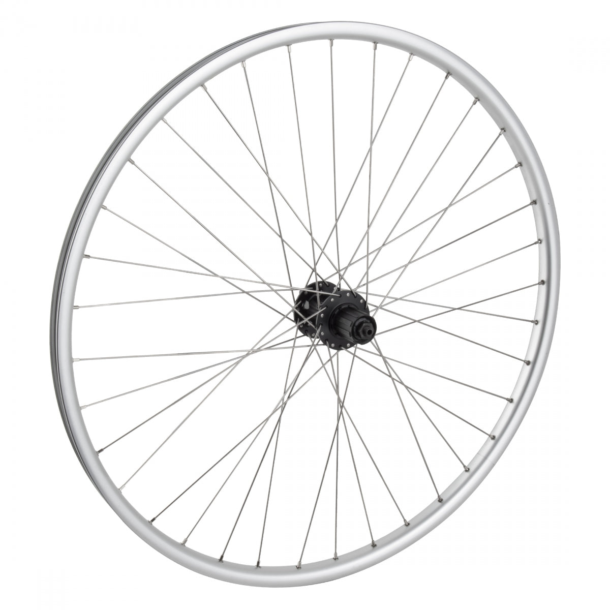 Wheel Rear 29 622X23 Mach1 650 Silver Disc 36 Wm Mt2000 8-10S 6 Bolt Quick Release 135Mm Dti2.0Sl