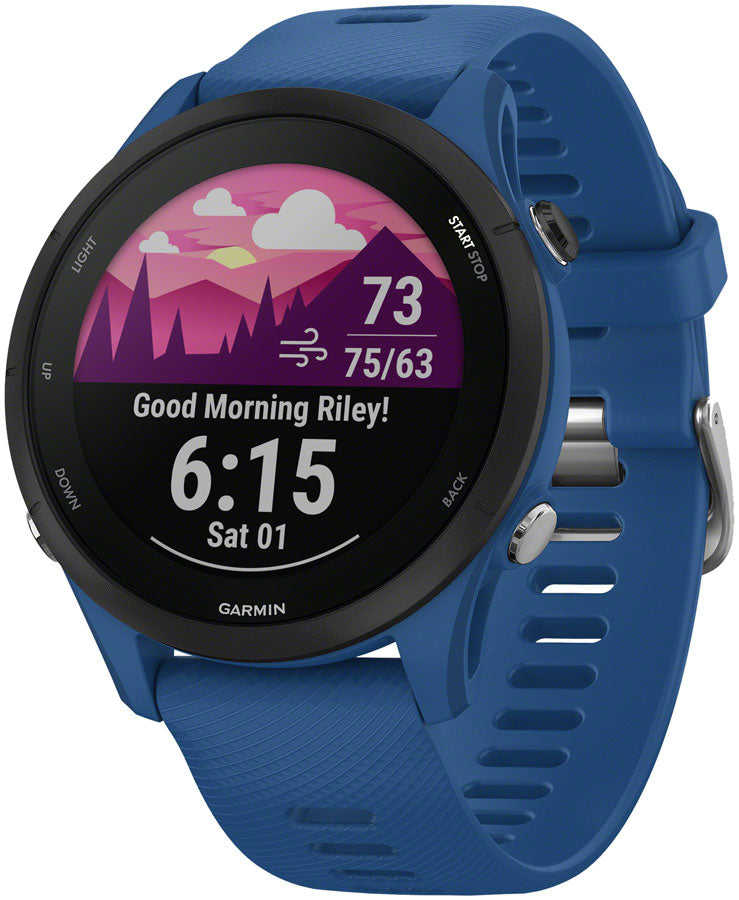 Garmin Forerunner 255 GPS Smartwatch - 45.6mm, Tidal Blue – Velo Mine 