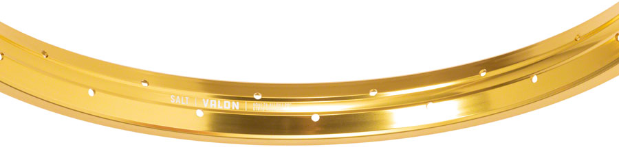 Salt Salt Valon " 20 in Bicycle Rim Gold 36H