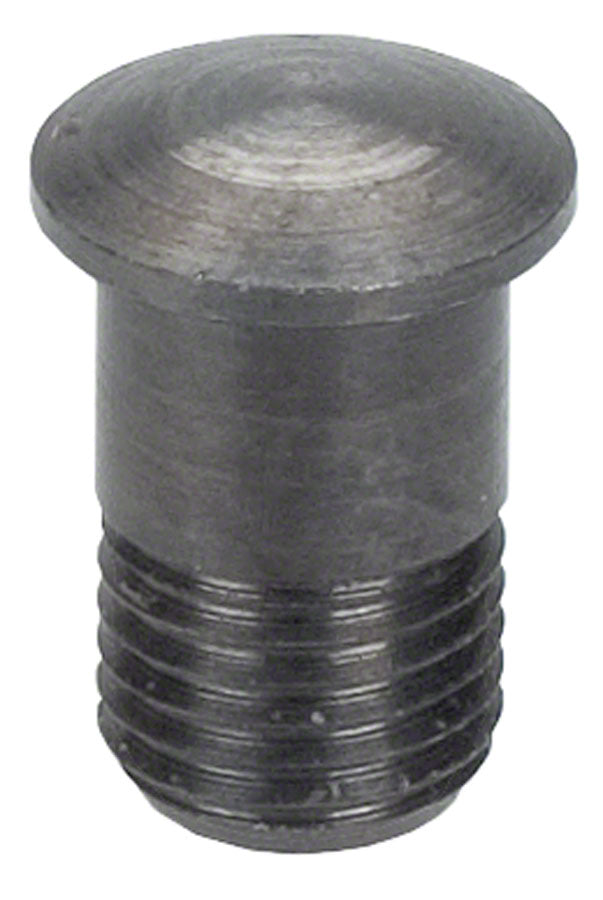 Campagnolo/ Fulcrum Magnetic Nipple Insert