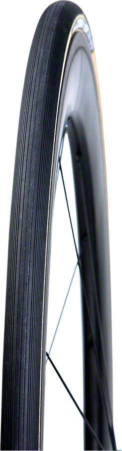 Vittoria Corsa g+ Tubular Tire Black/Tan 700x25