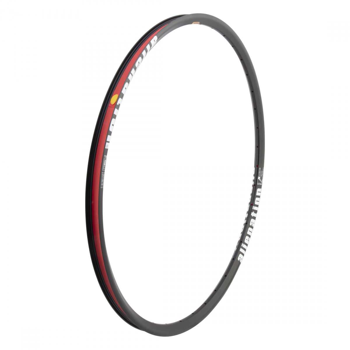 Ailenation Mischief G69 Rim, 29, TCS 2.0, 36h Black, Disc, 23mm internal width