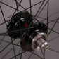 H + Plus Son Hydra 28h Black Phil Wood Track hubs Wheelset