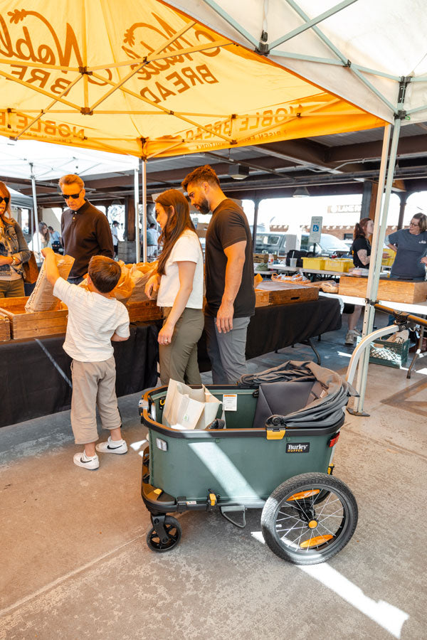 burley-hopper-cargo-bike-trailer-and-stroller-wagon