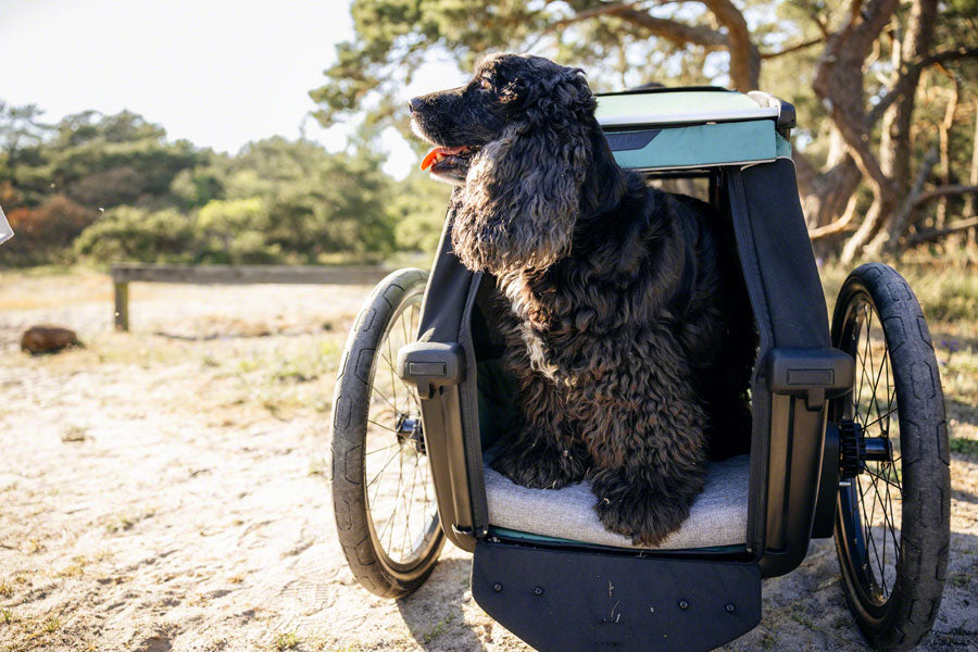 thule-bexey-dog-bed-medium