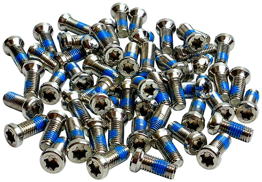 Wheels Manufacturing Direct Mount Gravel Chainring Bolts - One pack of 50 bolts, For 8-Bolt Chainring, M4, T20