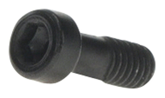 Bosch Purion 400 Mounting Clamp Screw