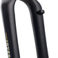Cane Creek Invert SL Gravel Suspension Fork - 700c, 40 mm, 12 x 100 mm, 45 mm Offset, Matte Black