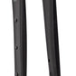 Salsa Waxwing Carbon V2 Fork - 700c/650b, 100x12mm Thru-Axle, 1-1/8" Tapered, Carbon, Flat Mount Disc, Black