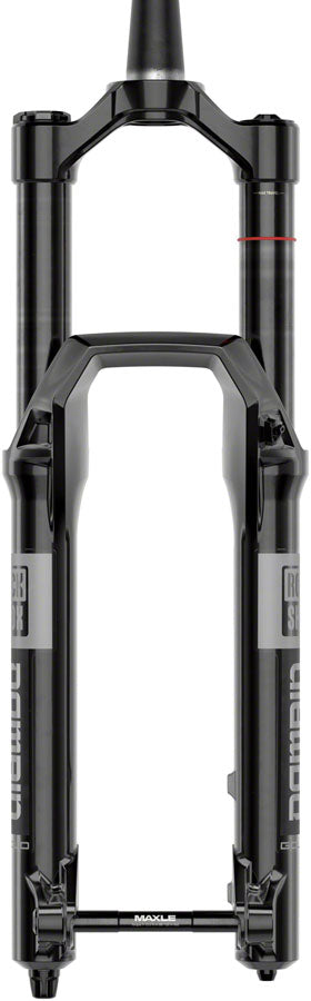 RockShox Domain Gold Isolator RC3 Suspension Fork - 29", 160 mm, 15 x 110 mm, 44 mm Offset, Gloss Black, C1