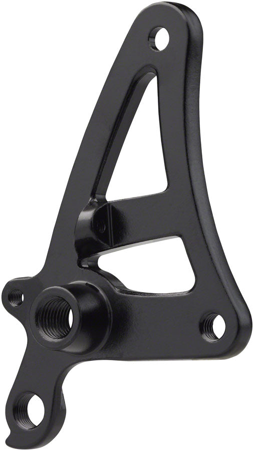 Salsa Alternator 1.0 Plate Right - Thru-Axle, M12x1.5 Thread Pitch, Derailleur Hanger, Fender Mount