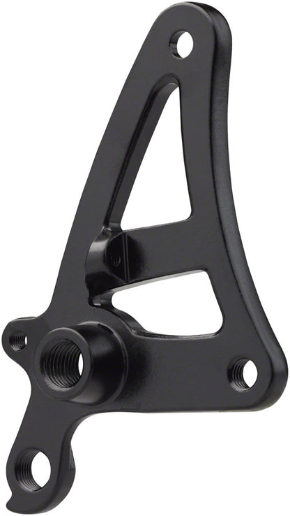 Salsa Alternator 1.0 Plate Right - Thru-Axle, M12x1.5 Thread Pitch, Derailleur Hanger, Fender Mount