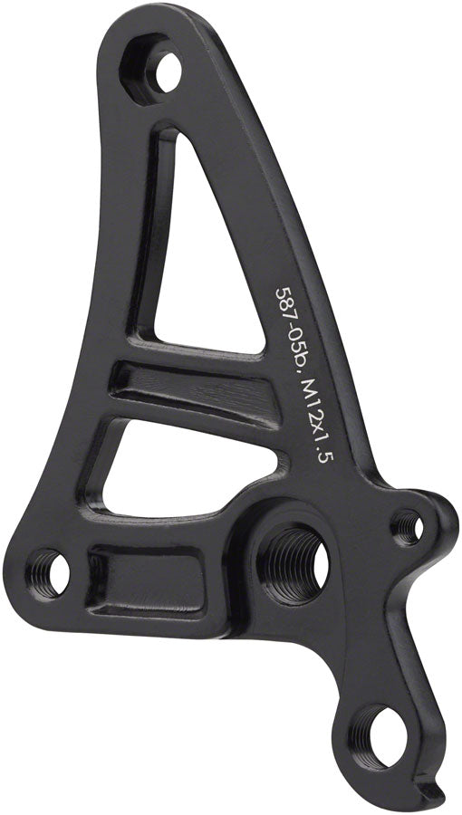 Salsa Alternator 1.0 Plate Right - Thru-Axle, M12x1.5 Thread Pitch, Derailleur Hanger, Fender Mount