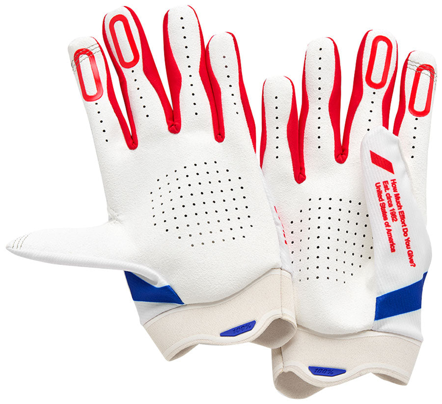 100-itrack-gloves-blue-white-small