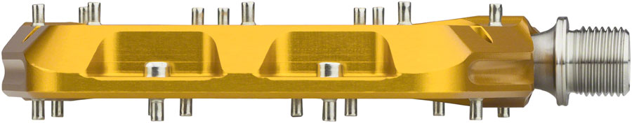 Wolf Tooth Waveform Pedals - Gold, Large