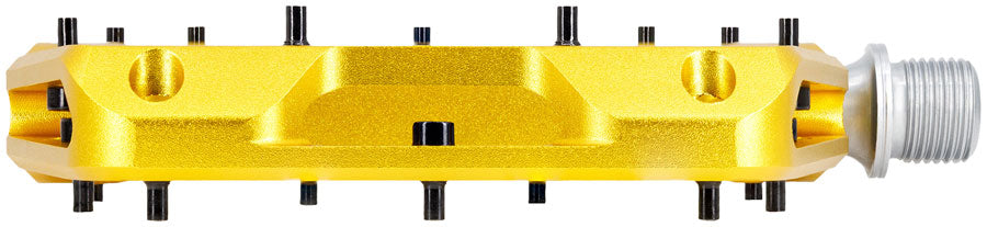 wolf-tooth-waveform-performance-pedals-gold-large