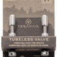 teravail-alloy-tubeless-valves-pair-48mm-matte-silver