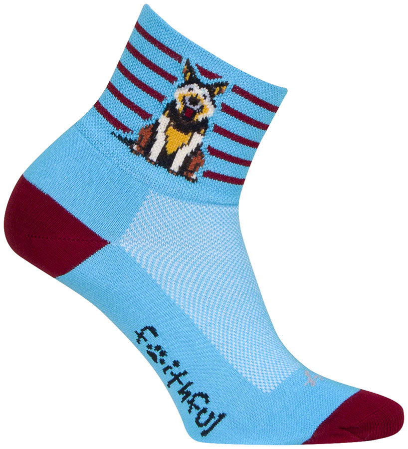 sockguy-classic-companion-socks-3-large-x-large