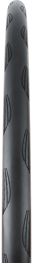 Continental Grand Prix Tire - 700 x 28, Clincher, Folding, Black/Transparent, BlackChili