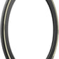 Pirelli P ZERO Race RS Tire - 700 x 28, Clincher, Folding, Retro, TechBelt, SmartEvo2