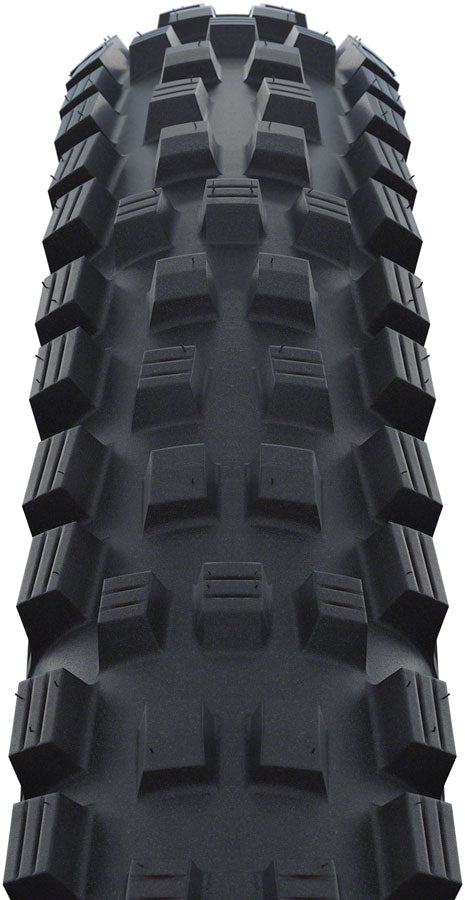 Schwalbe Magic Mary Tire - 29 x 2.25", Tubeless, Folding, Black, Evolution Line, Addix Soft, Super Trail