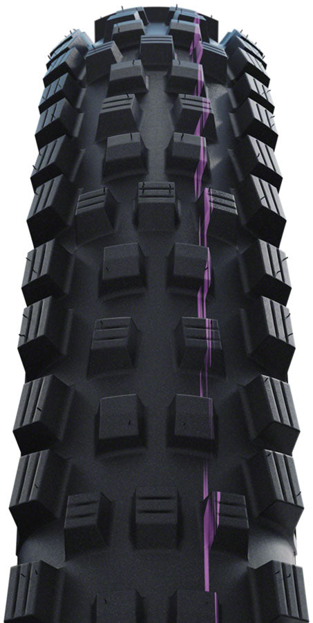 Schwalbe Magic Mary Tire - 29 x 2.50, Tubeless, Folding, Black, Evolution Line, Trail Pro, Addix Ultra Soft, Radial