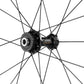 Campagnolo Hyperon Ultra Front Wheel - 700c, 12 x 100mm, Center-Lock, 2-Way Fit, Carbon