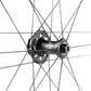 Campagnolo Zonda GT Front Wheel - 700c, 12 x 100mm, Center-Lock, 2-Way Fit, Black
