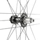 Campagnolo Zonda GT Rear Wheel - 700c, 12 x 142mm, Center-Lock, N3W, 2-Way Fit, Black