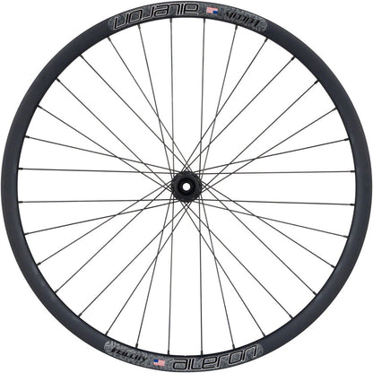 Quality Wheels Bear Pawls / Velocity Aileron Front Wheel - 700c, 12 x 100mm, Center-Lock, Black