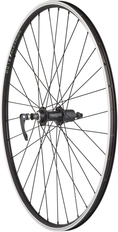 Alex DC19 Rim - Rear Wheel - 700, QR x 135mm, Rim Brake, HG 10, Black ...