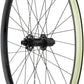Quality Wheels Bear Pawls / RaceFace AR Rear Wheel - 29", 12 x 148mm, 6-Bolt, HG 11 MTN, Black