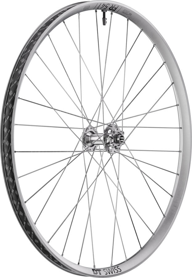 DT Swiss FR 1500 Classic Front Wheel - 29", 15 x 110mm, 6-Bolt, Silver LTD