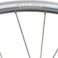 Ritchey Classic Zeta Wheelset - 700, QR x 100/130mm, Rim Brake, HG 11 Road, Silver