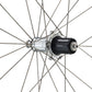 Ritchey Classic Zeta Wheelset - 700, QR x 100/130mm, Rim Brake, HG 11 Road, Silver