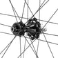 Campagnolo BORA WTO 60 C23 Rear Wheel - 700, 12 x 142mm, Center-Lock, N3W, 2-Way Fit, Carbon