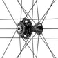 Campagnolo Bora WTO 35 C23 Front Wheel - 700c, 12 x 100mm, Center-Lock, 2-Way Fit, Carbon
