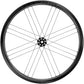 Campagnolo Bora WTO 35 C23 Front Wheel - 700c, 12 x 100mm, Center-Lock, 2-Way Fit, Carbon