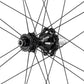 Campagnolo BORA WTO 35 C23 Rear Wheel - 700, 12 x 142mm, Center-Lock, N3W, 2-Way Fit, Carbon