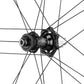 Campagnolo Shamal Dual Profile Rear Wheel - 700c, 12 x 142mm, Center-Lock, XDR, 2-Way Fit, Carbon